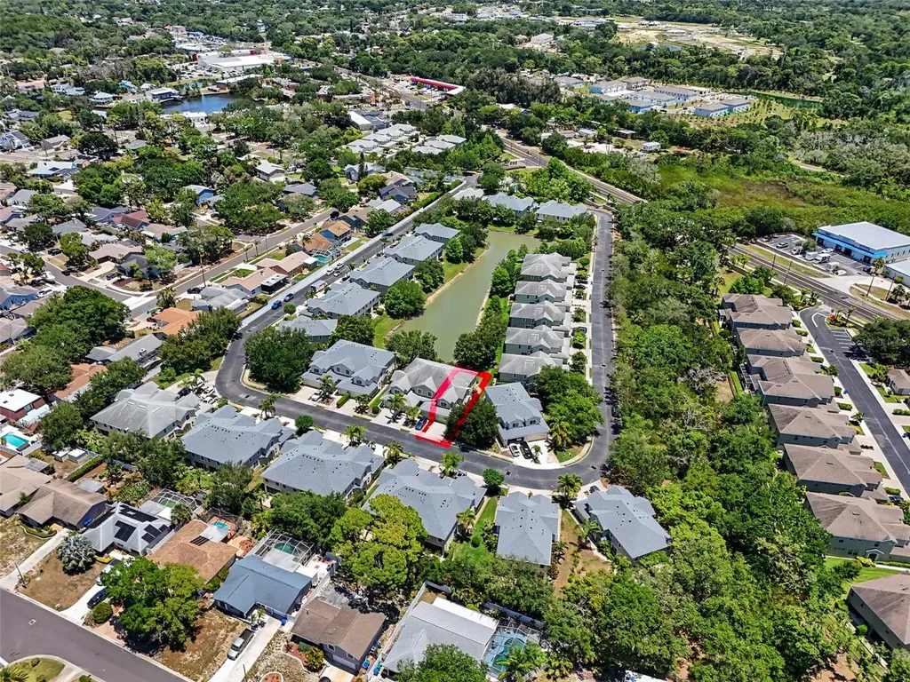 441 Harbor Ridge Drive Palm Harbor FL 34683