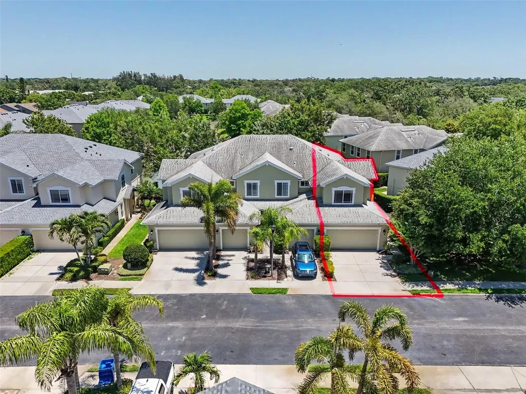 441 Harbor Ridge Drive Palm Harbor FL 34683