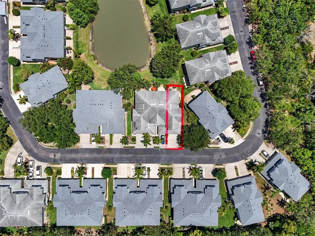 441 Harbor Ridge Drive Palm Harbor FL 34683
