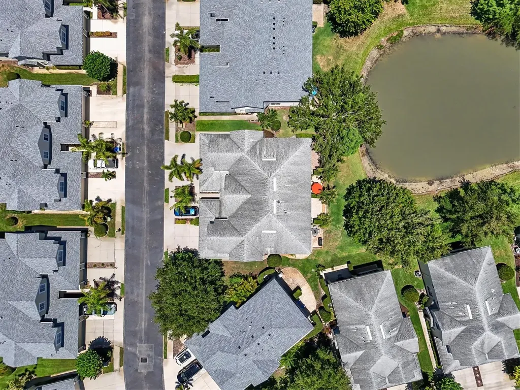 441 Harbor Ridge Drive Palm Harbor FL 34683