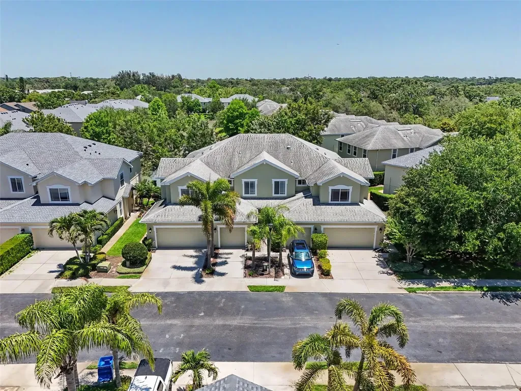441 Harbor Ridge Drive Palm Harbor FL 34683