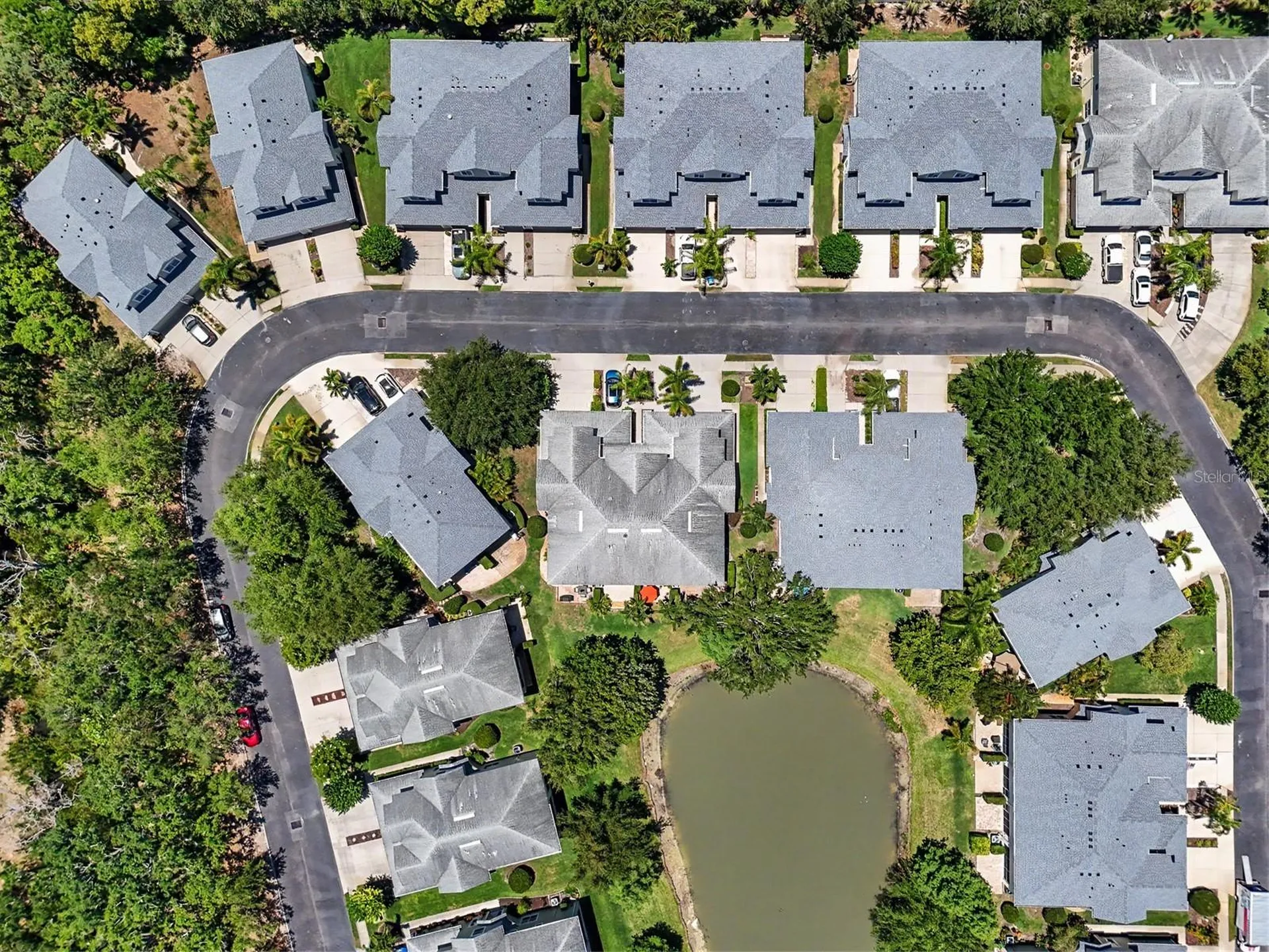 441 Harbor Ridge Drive Palm Harbor FL 34683