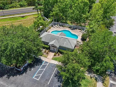 441 Harbor Ridge Drive Palm Harbor FL 34683