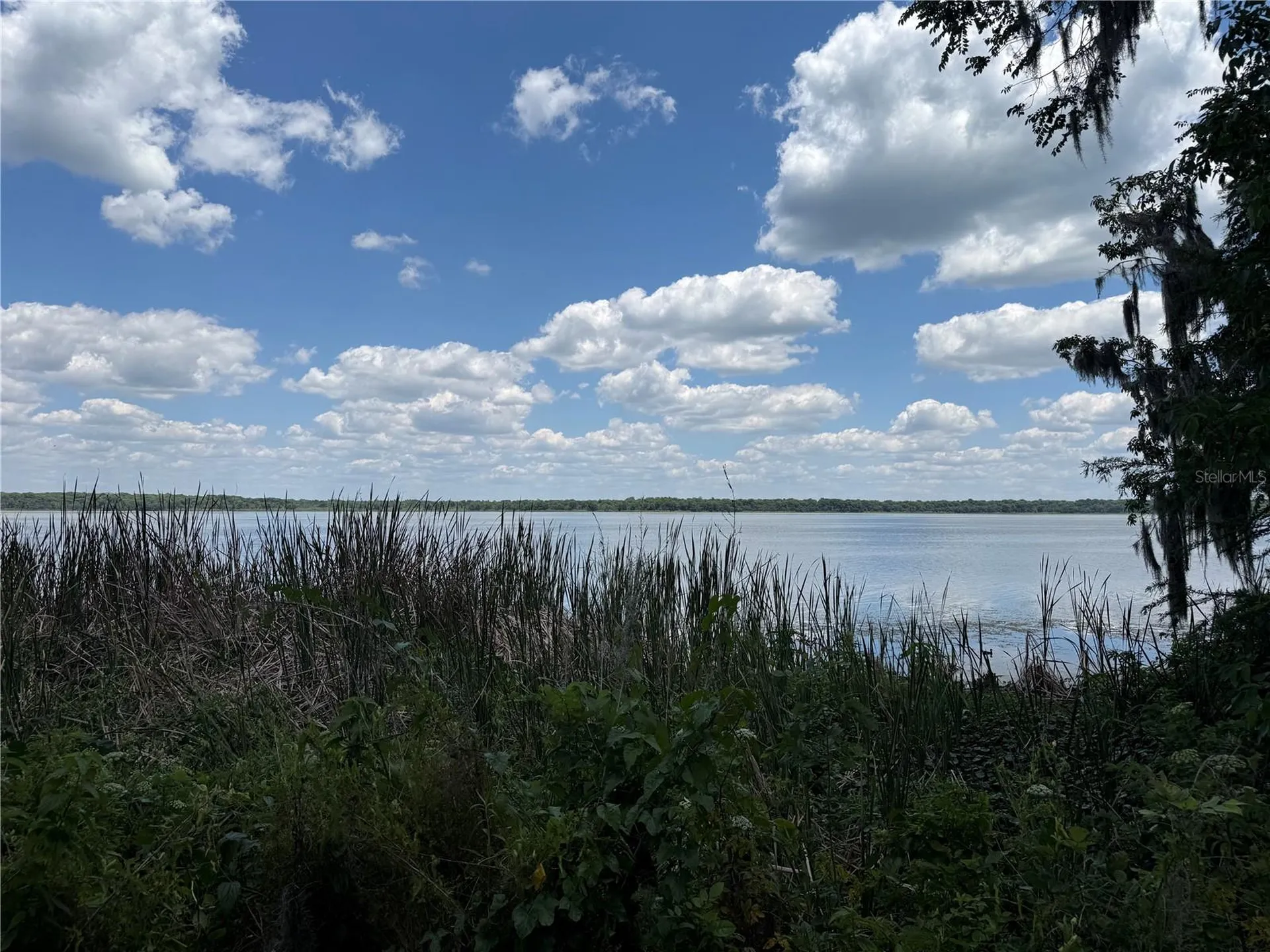 4232 County Road 400 Lake Panasoffkee FL 33538