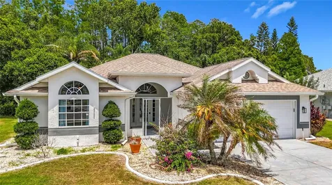 1707 Tremont Court Sun City Center FL 33573