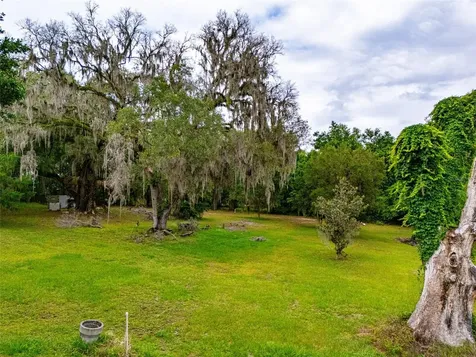 8845 NW 130th Street Reddick FL 32686