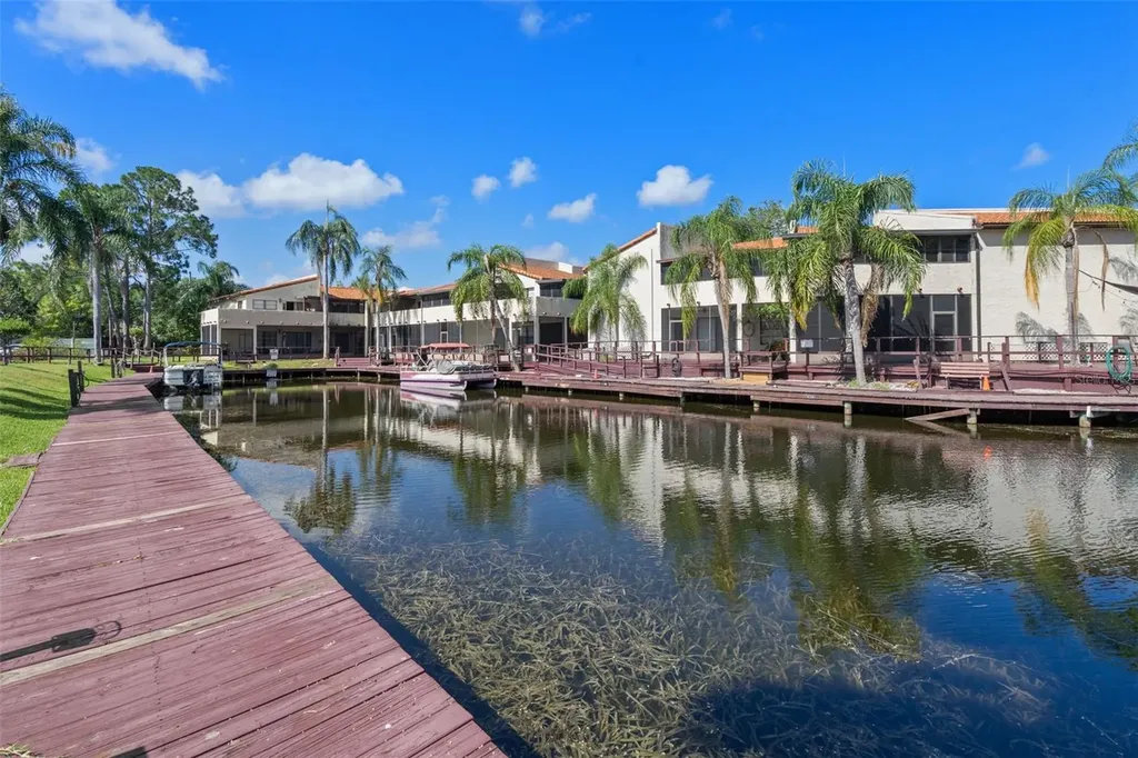 2571 Cyprus Drive Palm Harbor FL 34684
