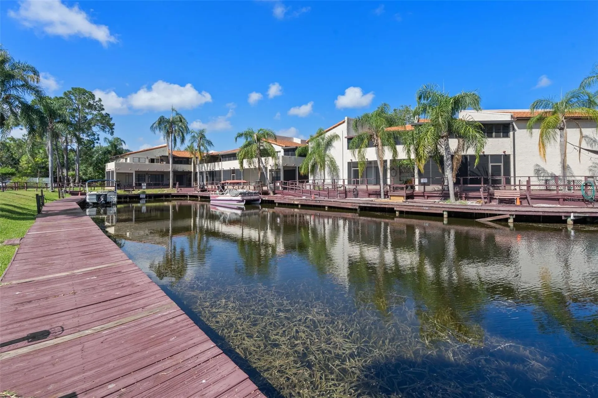 2571 Cyprus Drive Palm Harbor FL 34684