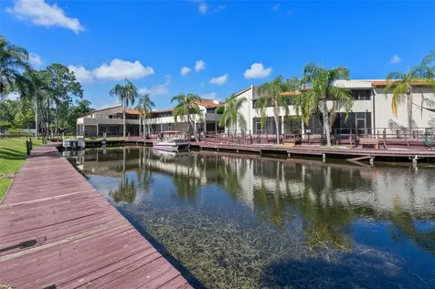 2571 Cyprus Drive Palm Harbor FL 34684