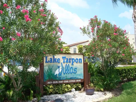 2571 Cyprus Drive Palm Harbor FL 34684