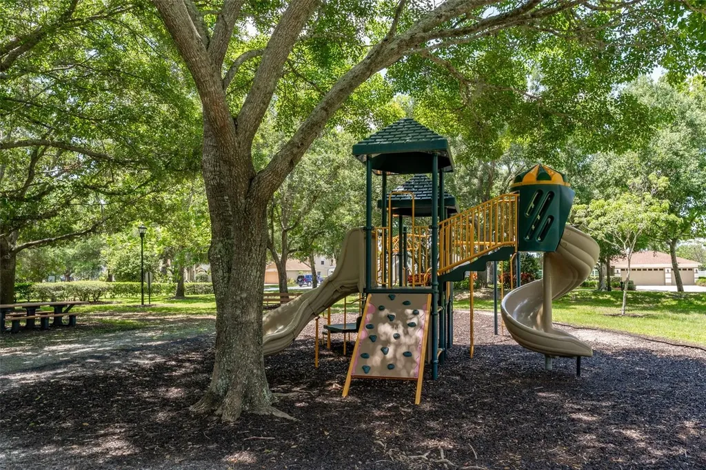 15303 Hidden Arbor Court Odessa FL 33556