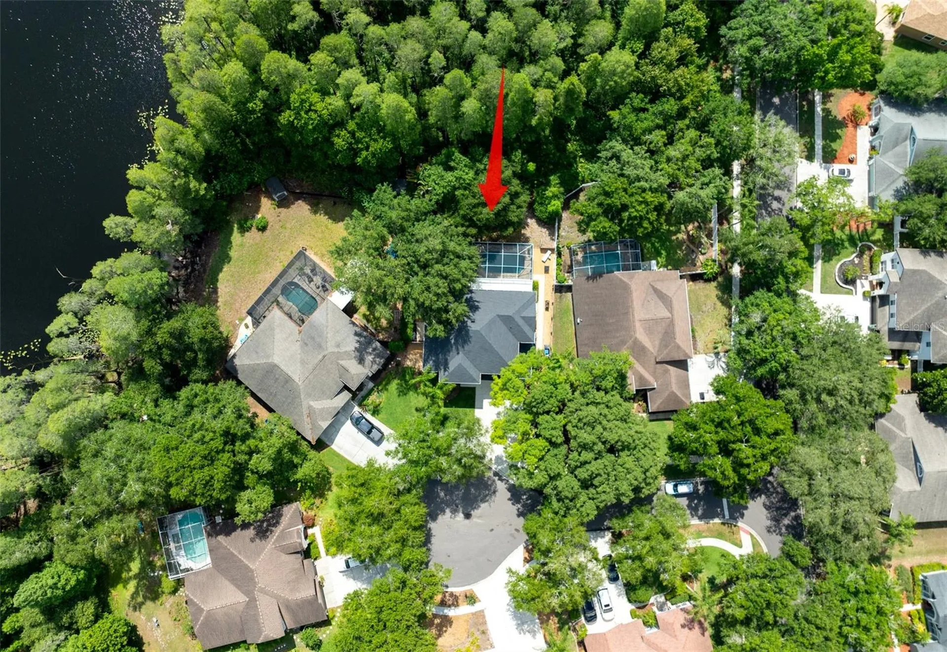 15303 Hidden Arbor Court Odessa FL 33556