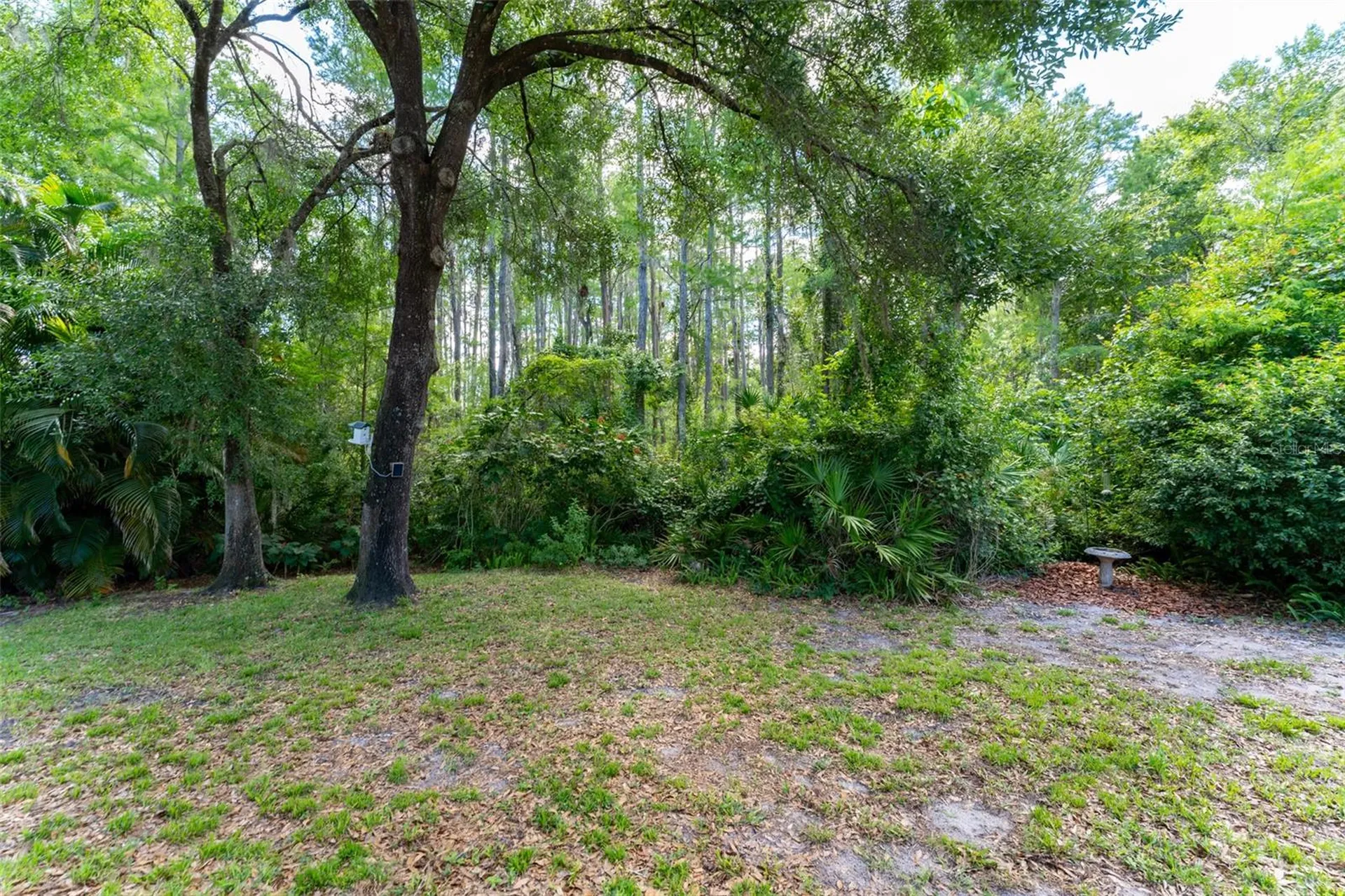 15303 Hidden Arbor Court Odessa FL 33556