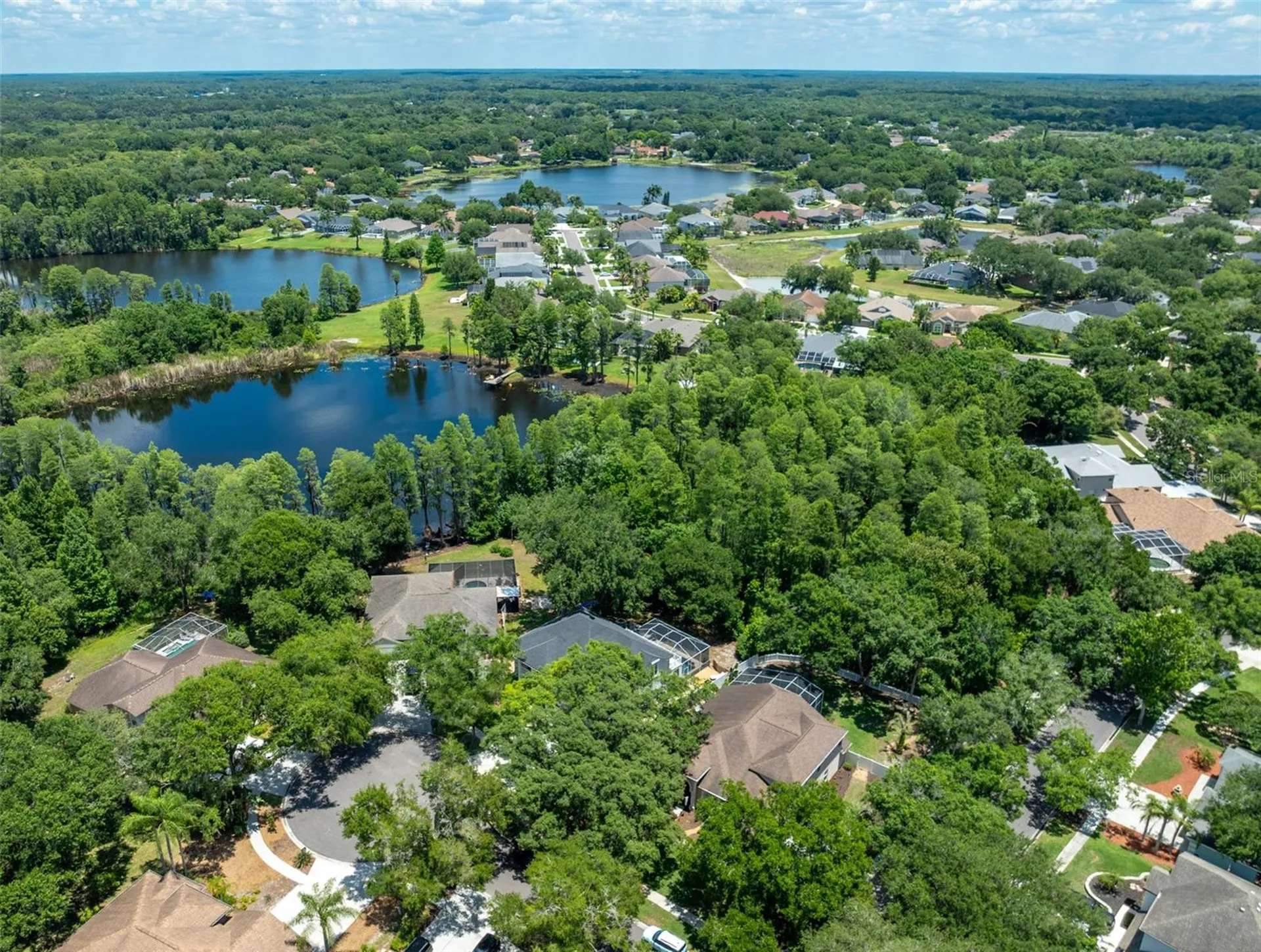 15303 Hidden Arbor Court Odessa FL 33556