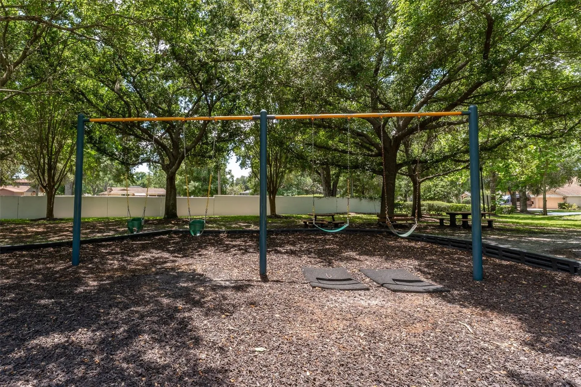 15303 Hidden Arbor Court Odessa FL 33556