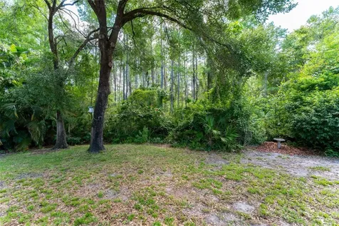 15303 Hidden Arbor Court Odessa FL 33556