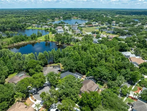 15303 Hidden Arbor Court Odessa FL 33556