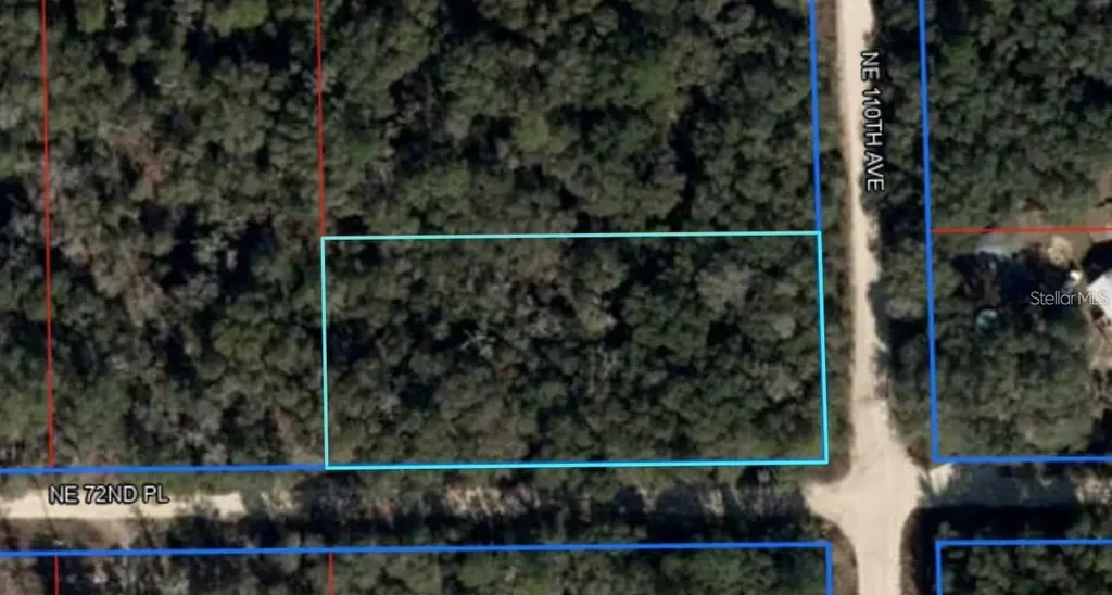 NE 110th Avenue Bronson FL 32621