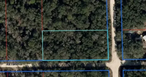 NE 110th Avenue Bronson FL 32621