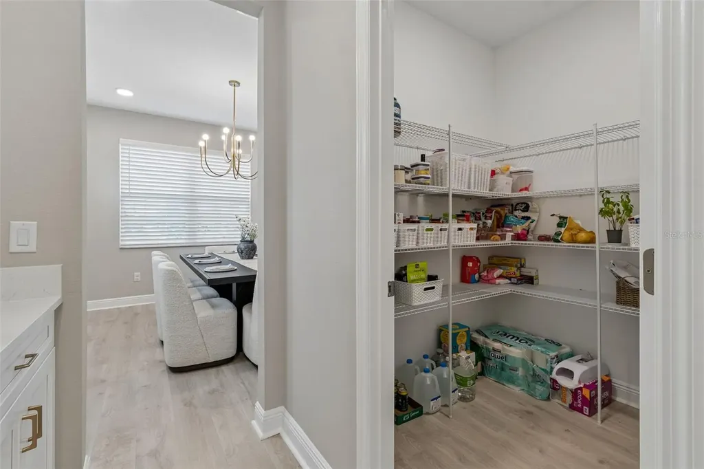 7754 Hemlock Seed Drive Wesley Chapel FL 33545