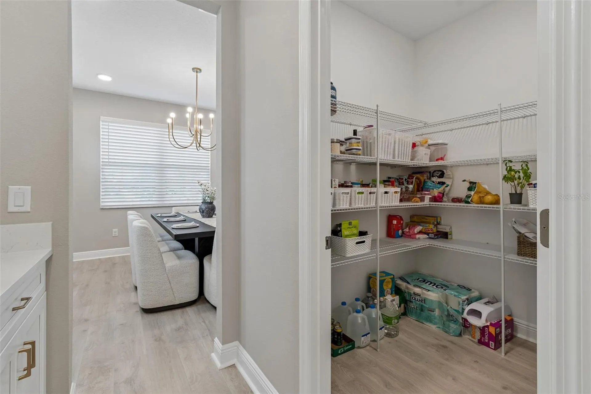 7754 Hemlock Seed Drive Wesley Chapel FL 33545