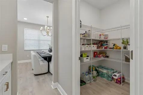 7754 Hemlock Seed Drive Wesley Chapel FL 33545