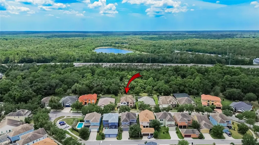 7959 Hampton Lake Drive Tampa FL 33647