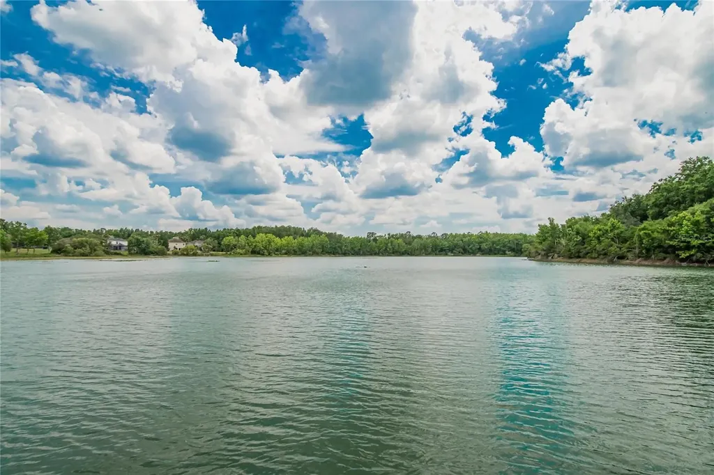 7959 Hampton Lake Drive Tampa FL 33647