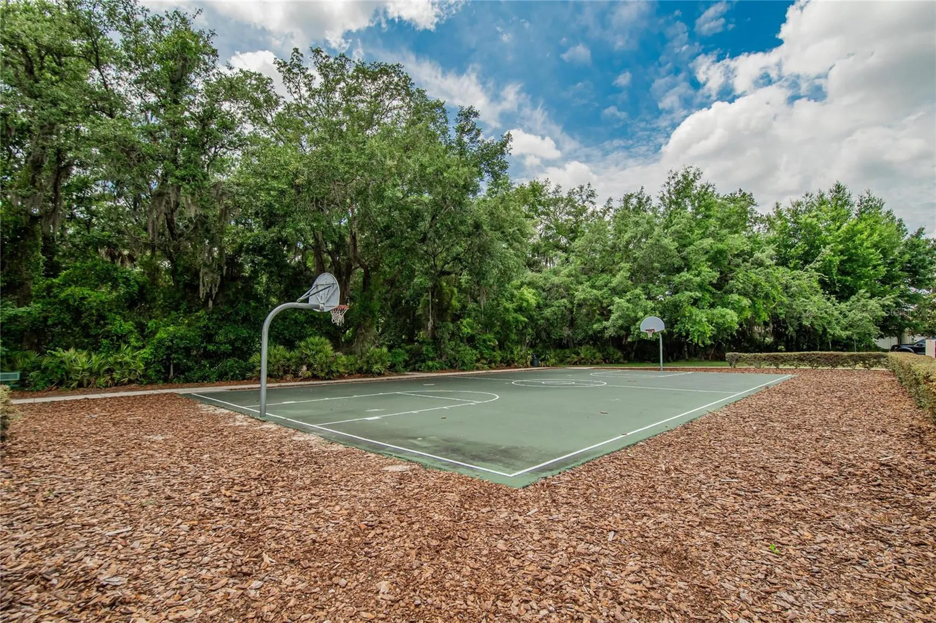 7959 Hampton Lake Drive Tampa FL 33647