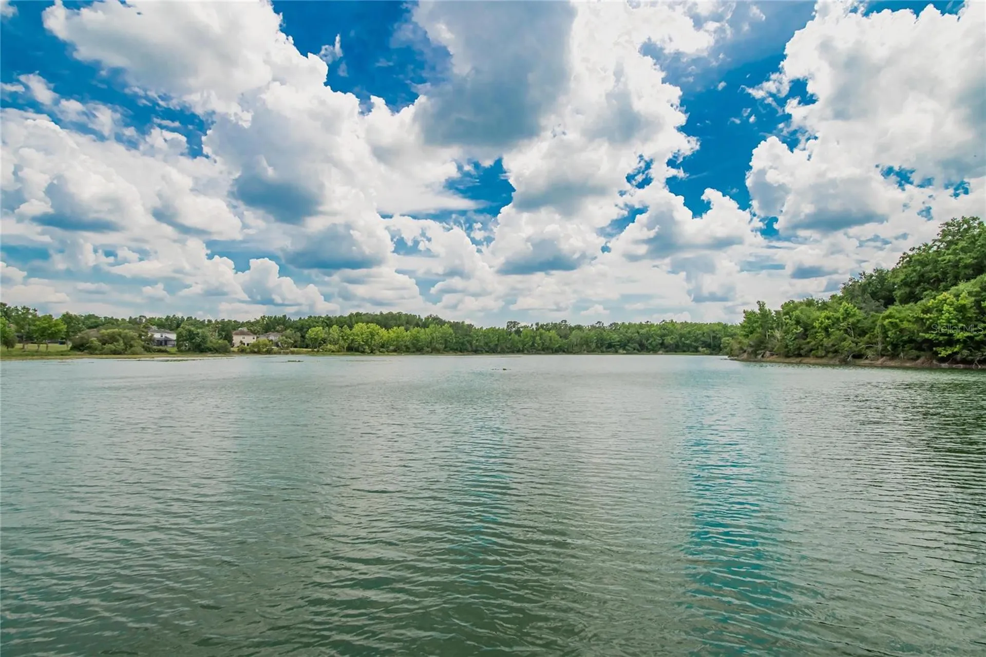 7959 Hampton Lake Drive Tampa FL 33647