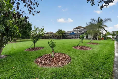 7959 Hampton Lake Drive Tampa FL 33647