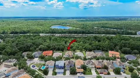 7959 Hampton Lake Drive Tampa FL 33647