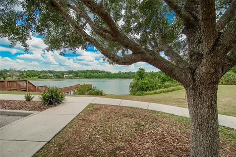 7959 Hampton Lake Drive Tampa FL 33647