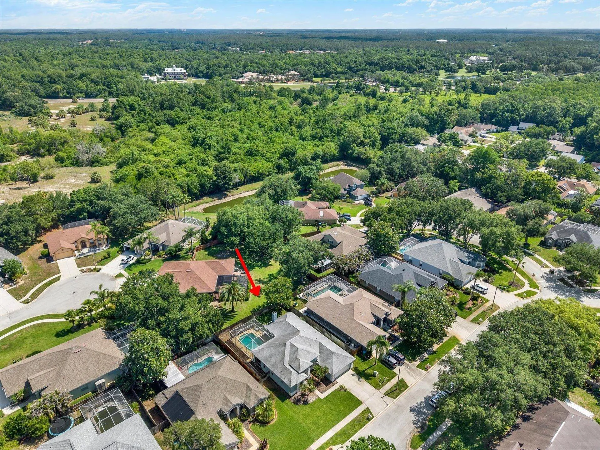 3165 Prides Crossing Tarpon Springs FL 34688