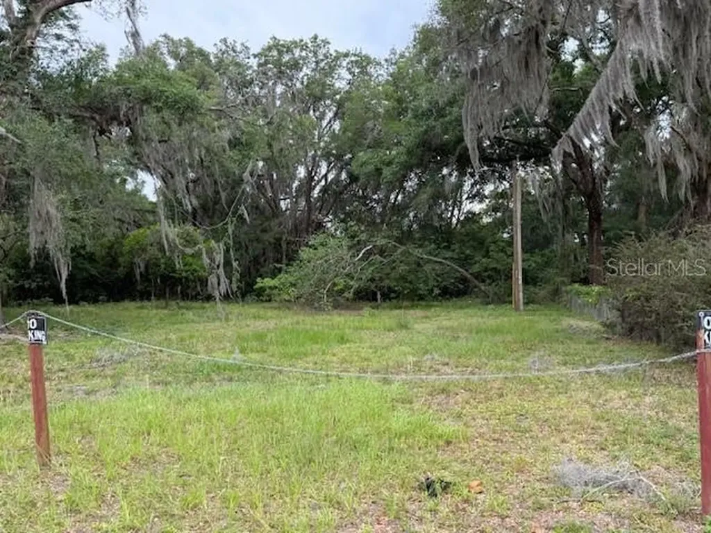 412 York Street Wildwood FL 34785