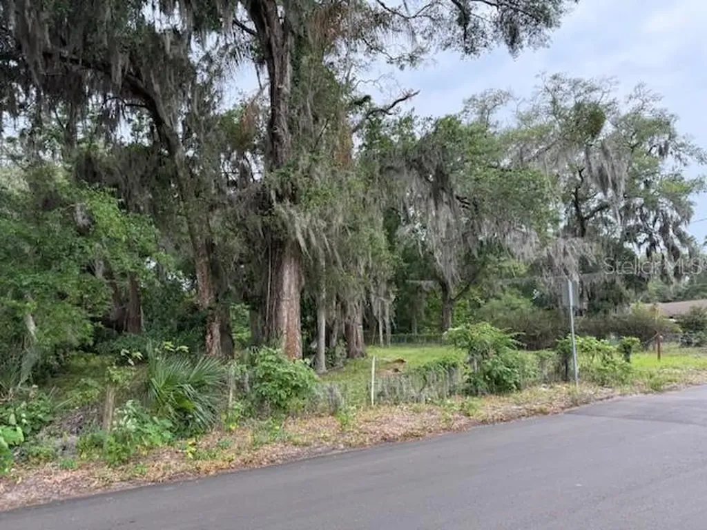 412 York Street Wildwood FL 34785