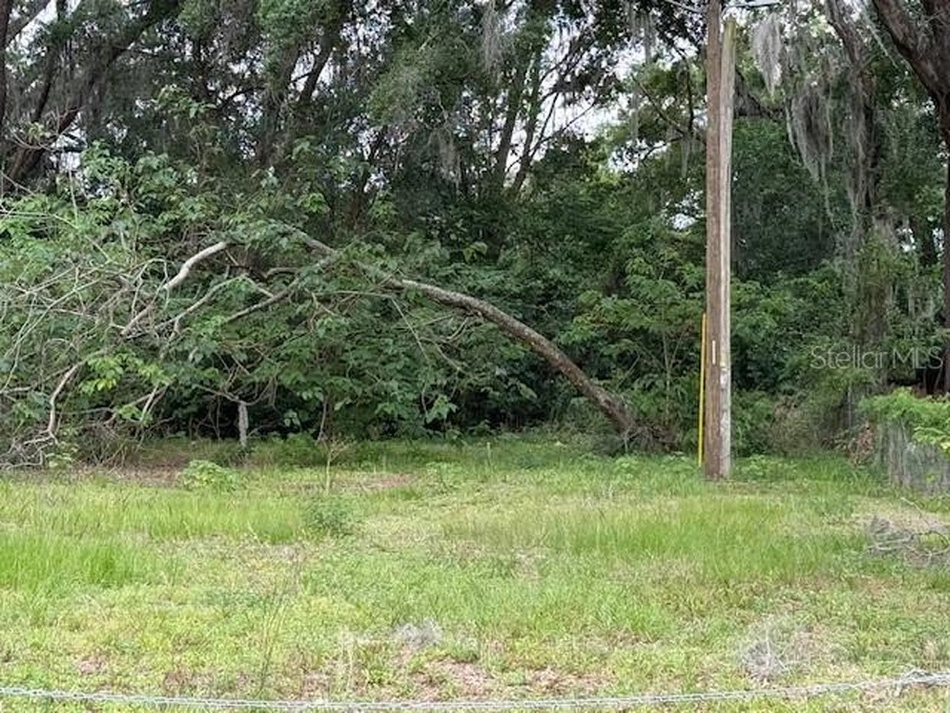 412 York Street Wildwood FL 34785