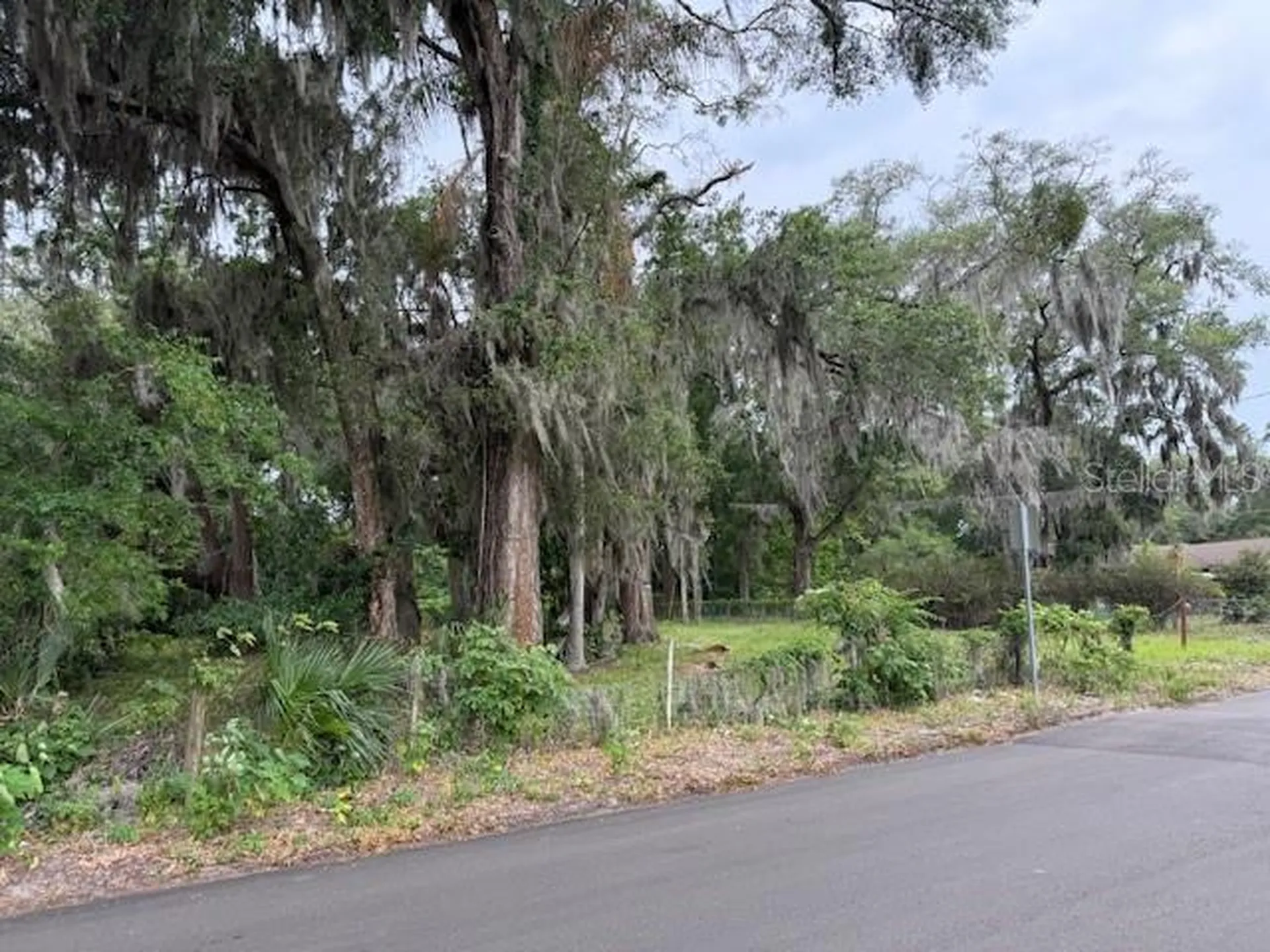 412 York Street Wildwood FL 34785
