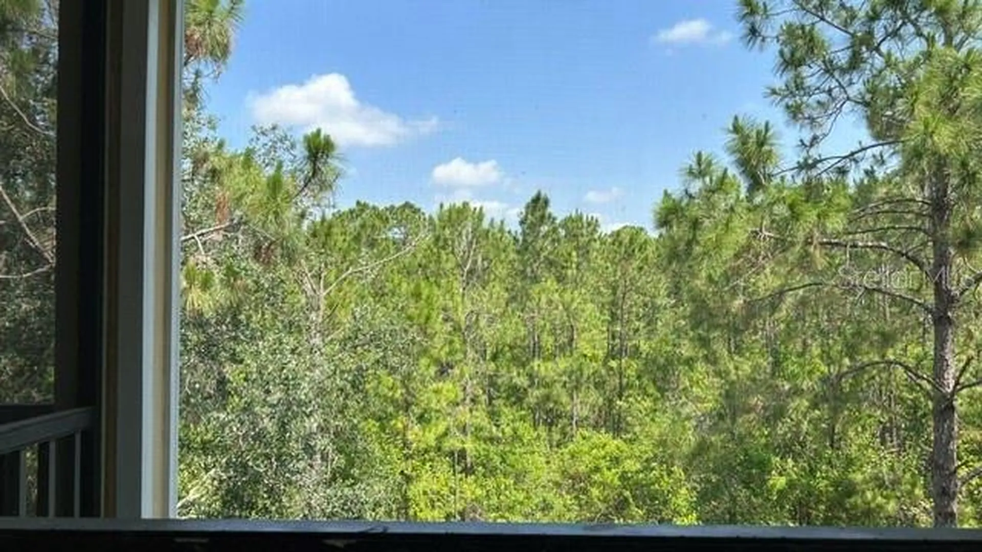 3060 Pirates Retreat Court Kissimmee FL 34747