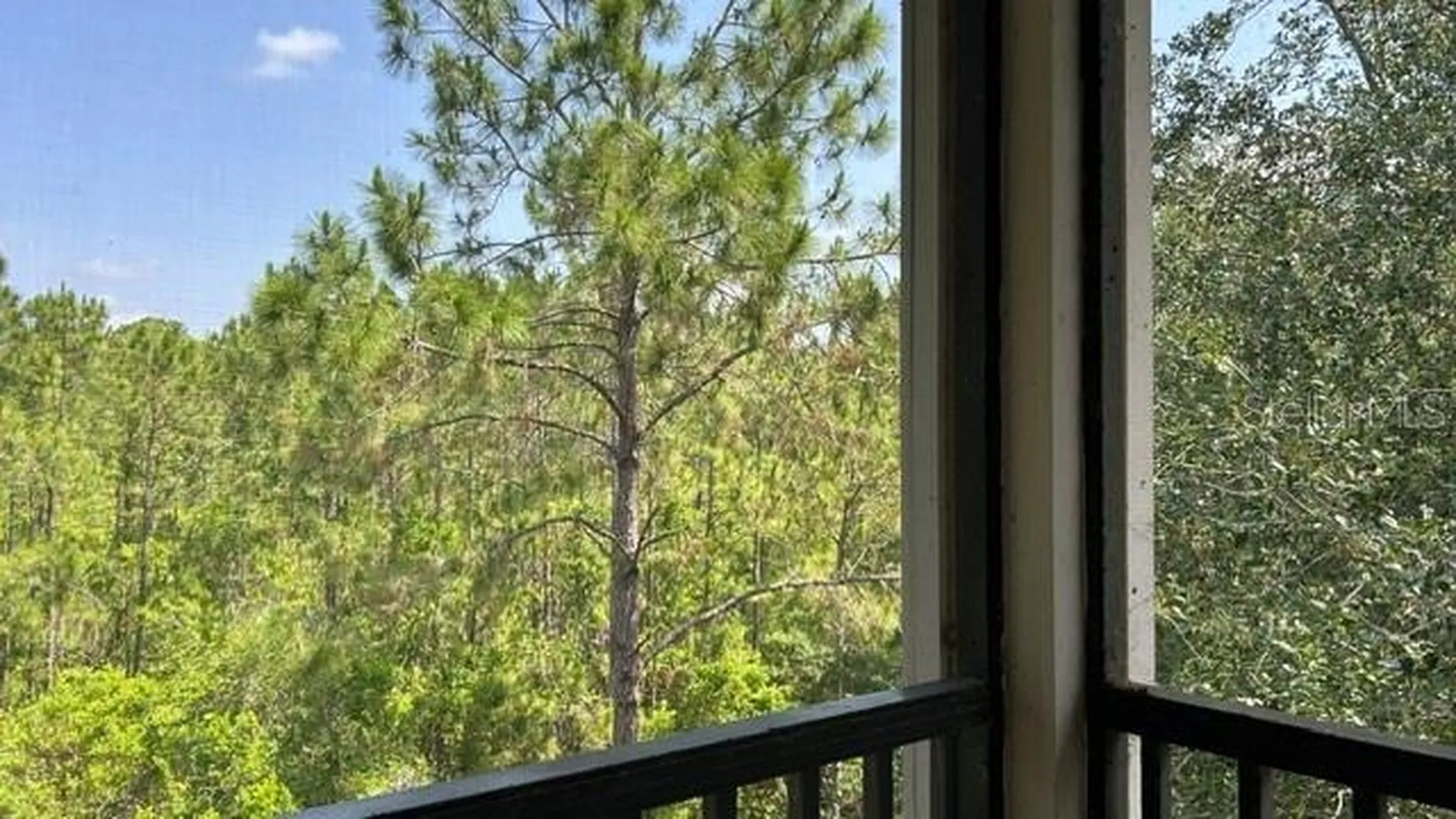 3060 Pirates Retreat Court Kissimmee FL 34747