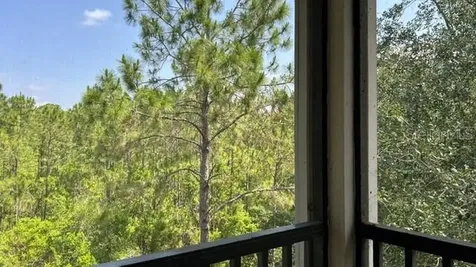3060 Pirates Retreat Court Kissimmee FL 34747