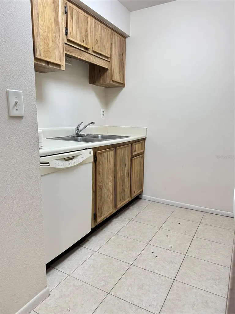4033 Dream Oak Place Tampa FL 33613