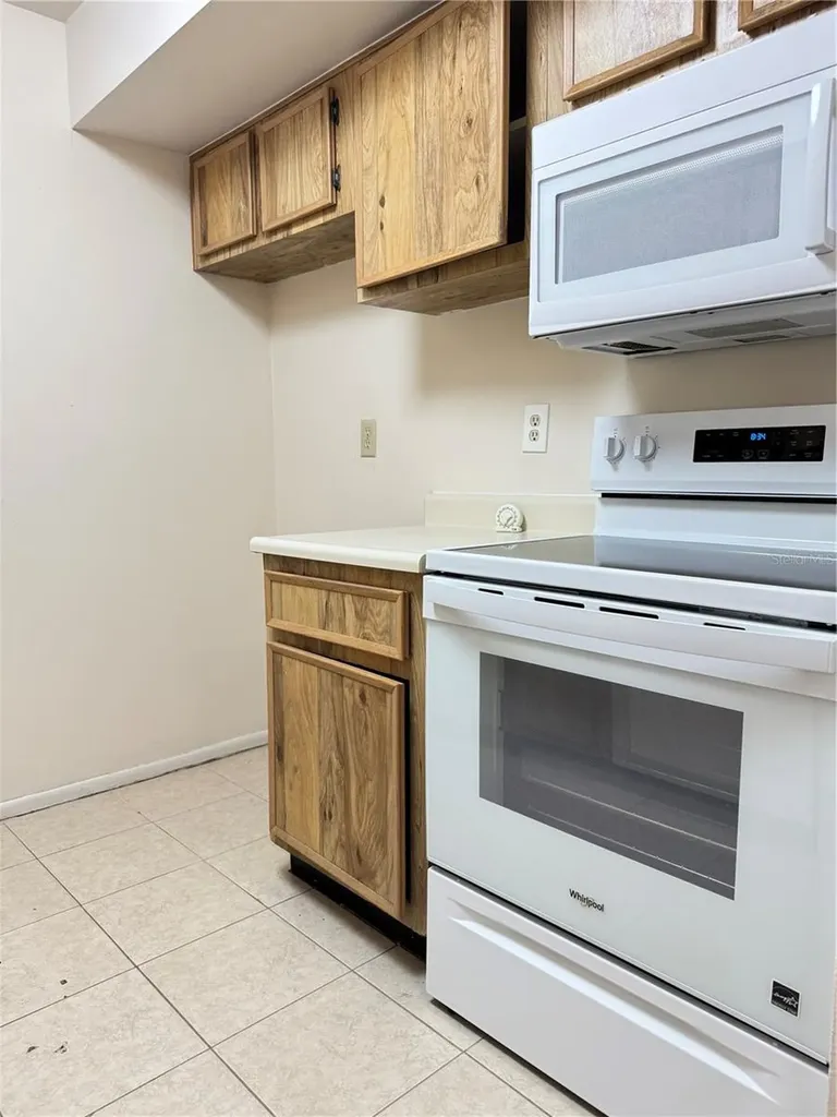 4033 Dream Oak Place Tampa FL 33613