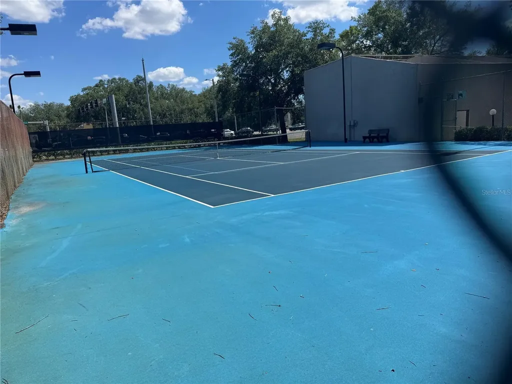 4033 Dream Oak Place Tampa FL 33613