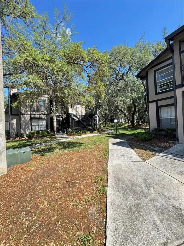 4033 Dream Oak Place Tampa FL 33613