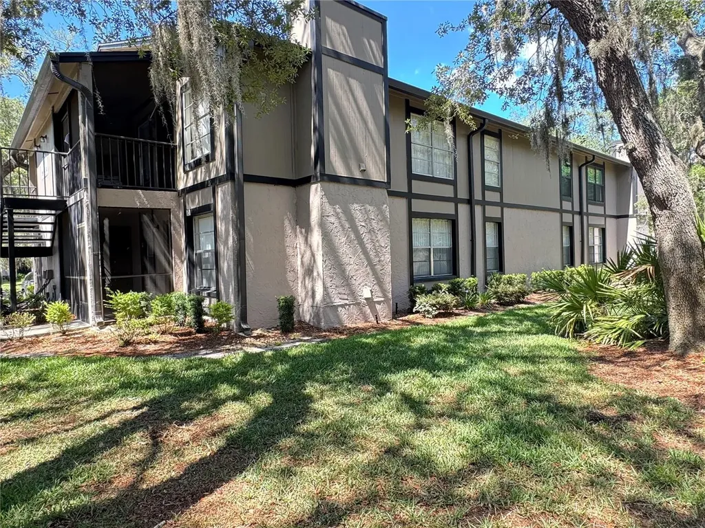 4033 Dream Oak Place Tampa FL 33613