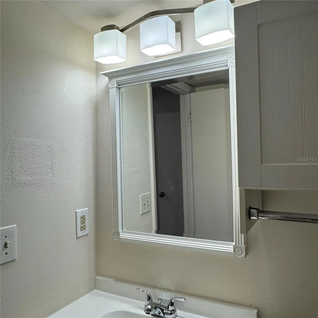 4033 Dream Oak Place Tampa FL 33613