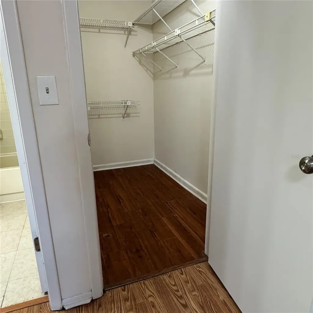 4033 Dream Oak Place Tampa FL 33613