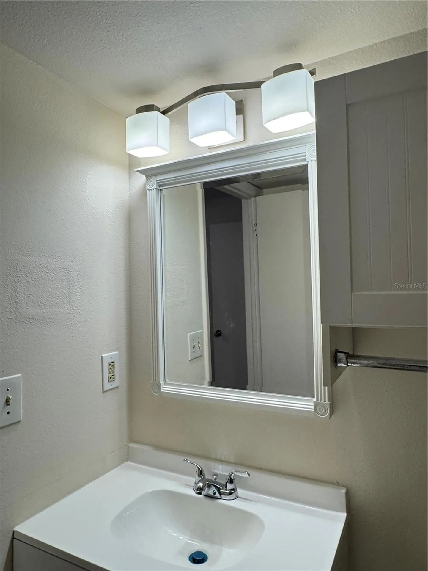 4033 Dream Oak Place Tampa FL 33613