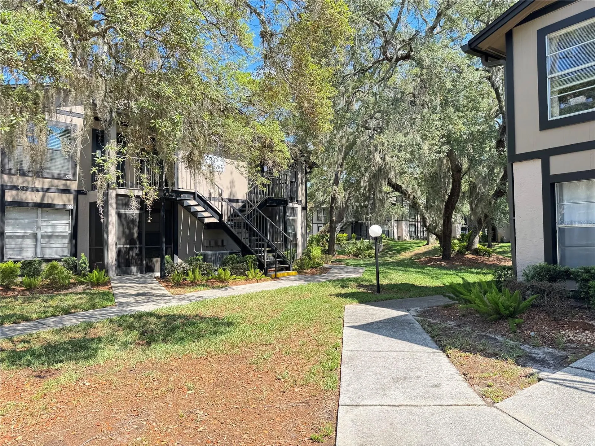 4033 Dream Oak Place Tampa FL 33613
